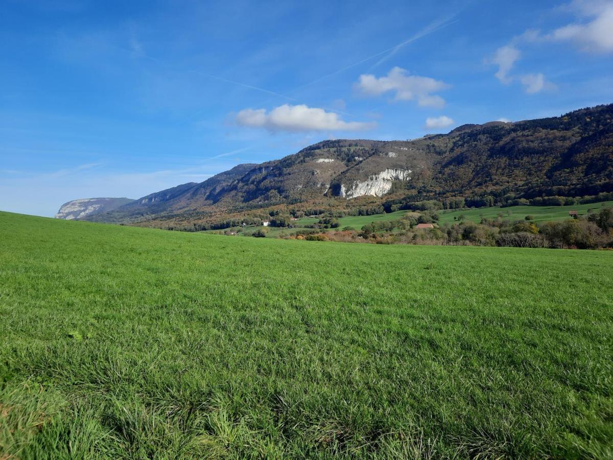 The Originals City, Hotel Rey Du Mont Sion, Saint-Julien-En-Genevois Sud エクステリア 写真