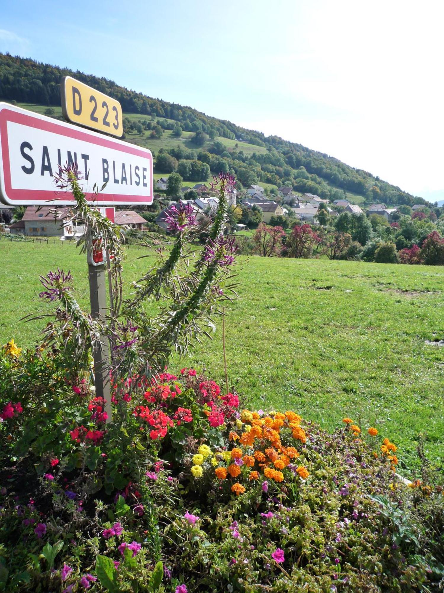 The Originals City, Hotel Rey Du Mont Sion, Saint-Julien-En-Genevois Sud エクステリア 写真